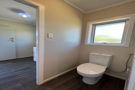 Photo of property in 20 Fernleigh Street, Chartwell, Hamilton, 3210