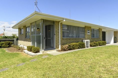 Photo of property in 36 Twentythird Avenue, Gate Pa, Tauranga, 3112