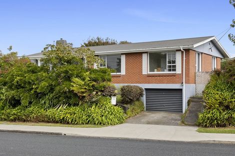 Photo of property in 252 Huatoki Street, Upper Vogeltown, New Plymouth, 4310