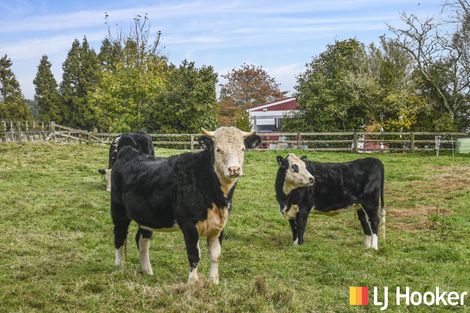 Photo of property in 18 Old State Mill Road, Mamaku, 3020