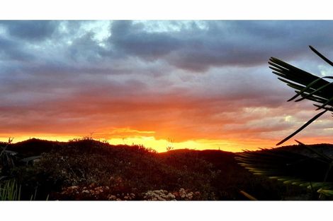 Photo of property in 19 Tui Grove, Paihia, 0200