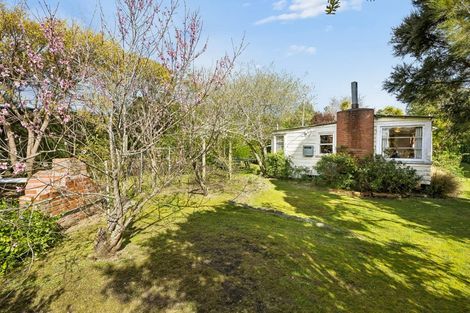Photo of property in 3 Esplanade, Warrington, Waikouaiti, 9471