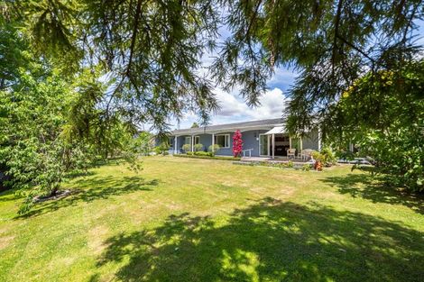 Photo of property in 148ab Colombo Road, Masterton, 5810