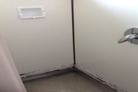 Photo of property in 1a Snell Street, Morrinsville, 3300