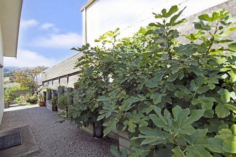 Photo of property in 503a Waimea Road, Annesbrook, Nelson, 7011