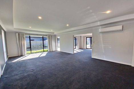 Photo of property in 243 Taylor Pass Road, Witherlea, Blenheim, 7201