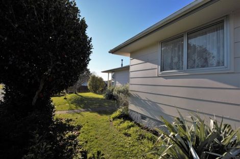 Photo of property in 53 Morgan Crescent, Levin, 5510