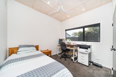 Photo of property in 44 Limbrick Street, Terrace End, Palmerston North, 4410