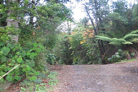 Photo of property in 448 Huia Road, Laingholm, Auckland, 0604