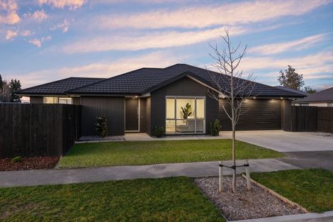 Photo of property in 17 Brusio Drive, Wigram, Christchurch, 8025