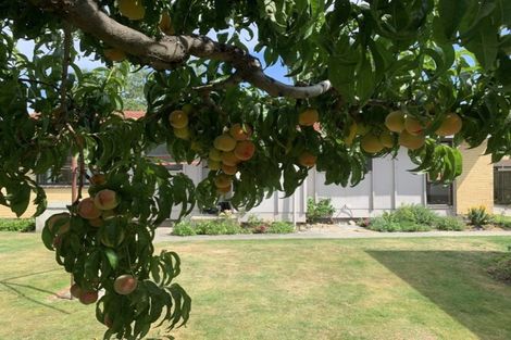 Photo of property in 69 Waenga Drive, Cromwell, 9310