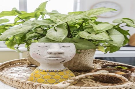 Photo of property in 7/35 Arawa Road, Hataitai, Wellington, 6021