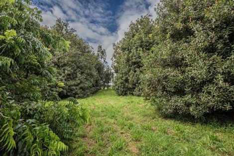 Photo of property in 8 Draffin Road, Poroti, Whangarei, 0179