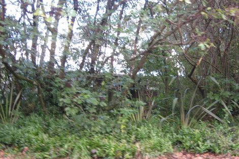 Photo of property in 56 Hoeta Te Hata Lane, Hatepe, Turangi, 3382