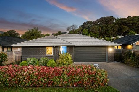 Photo of property in 39 Tradewinds Drive, Whitby, Porirua, 5024