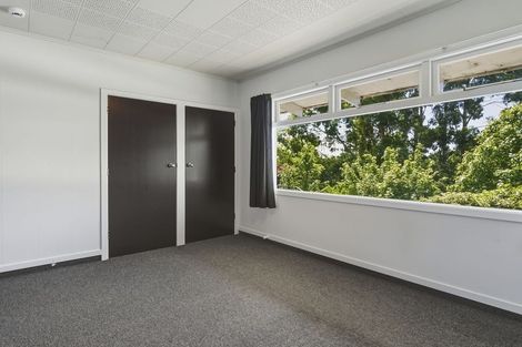Photo of property in 19 Swanson Street, Kaikorai, Dunedin, 9010