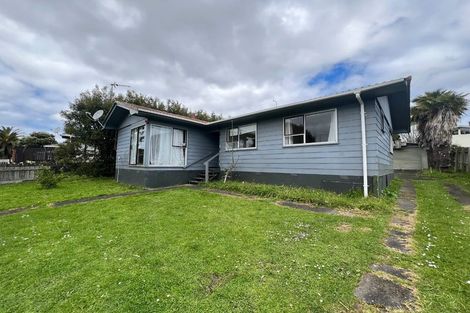 Photo of property in 41 Larissa Avenue, Henderson, Auckland, 0610