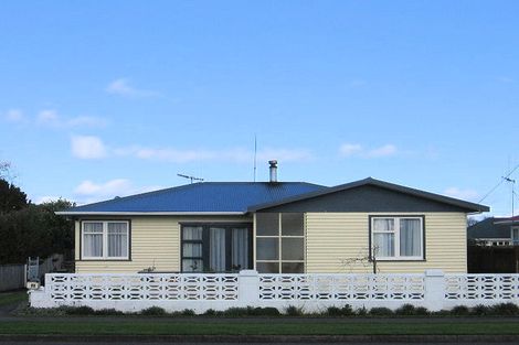 Photo of property in 103 Queen Street West, Levin, 5510