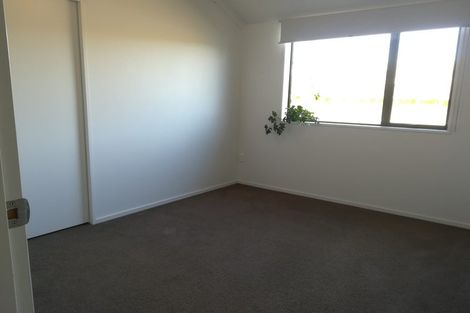 Photo of property in 36 Tremorne Avenue, Blenheim, 7201