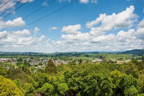 Photo of property in 66 Mountain View Road, Otorohanga, 3900