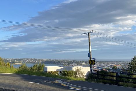 Photo of property in 3 Maori Road, Dunedin Central, Dunedin, 9016