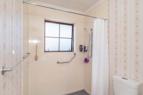 Photo of property in 102 Winchester Street, Levin, 5510