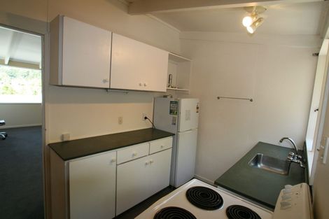 Photo of property in 28d Cornhill Street, North East Valley, Dunedin, 9010