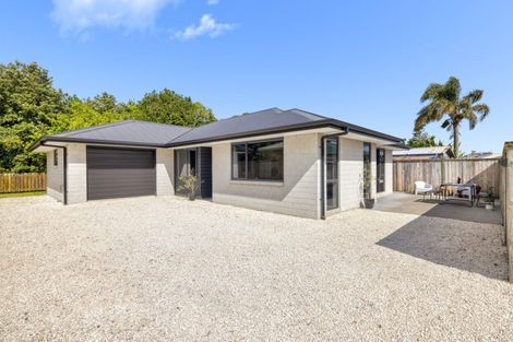 Photo of property in 50a Hall Road, Matua, Tauranga, 3110