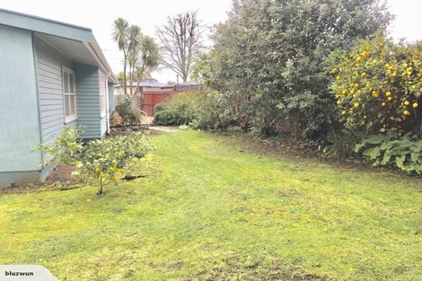 Photo of property in 137 Hukanui Road, Chartwell, Hamilton, 3210