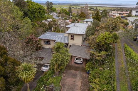 Photo of property in 142 Brunton Crescent, Thames, 3500