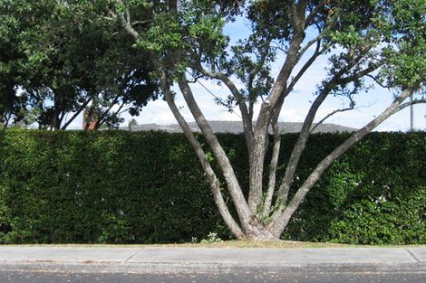 Photo of property in 2 David Street, Bayswater, Auckland, 0622