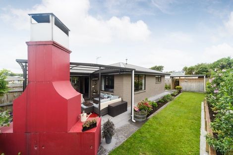 Photo of property in 97a Awahuri Road, Feilding, 4702