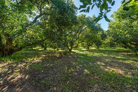 Photo of property in 204a No 2 Road, Te Puke, 3182