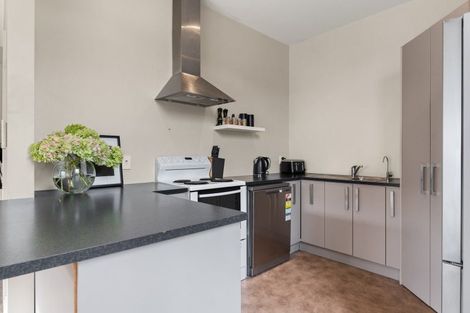 Photo of property in 44 Hastings Street, Wakari, Dunedin, 9010