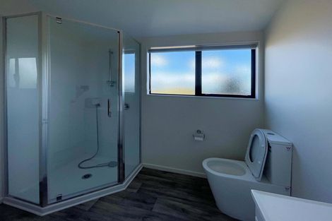 Photo of property in 257a Victoria Street West, Pukekohe, 2120