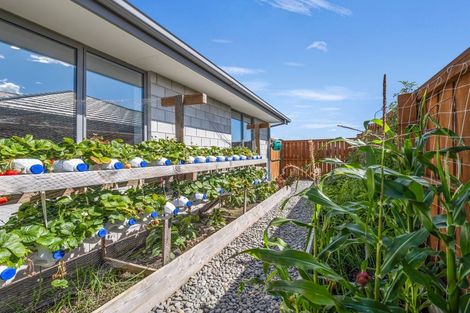 Photo of property in 39 Nethercote Way, Rolleston, 7614