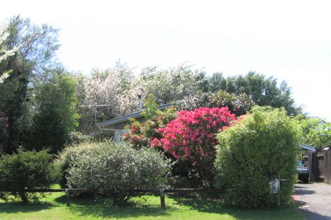 Photo of property in 39 Alison Street, Mangakakahi, Rotorua, 3015