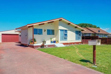 Photo of property in 20 Tawhara Place, Edgecumbe, 3120