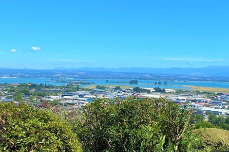 Photo of property in 17 Pinnacle Place, Wakatu, Nelson, 7011