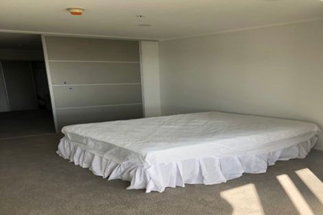Photo of property in Luna Apartments, 4c/16 Burton Street, Grafton, Auckland, 1010