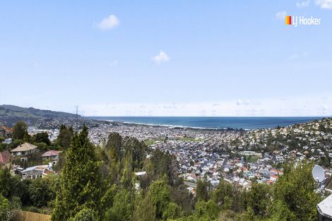 Photo of property in 2b Renfrew Street, Balaclava, Dunedin, 9011