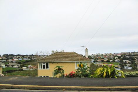 Photo of property in 88 Panmure Avenue, Calton Hill, Dunedin, 9012