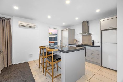 Photo of property in 151c Canon Street, Edgeware, Christchurch, 8013