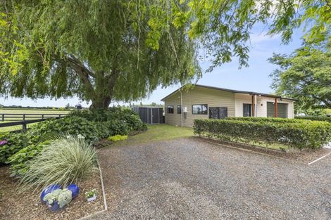 Photo of property in 130 Tarr Road, Ohaupo, 3881