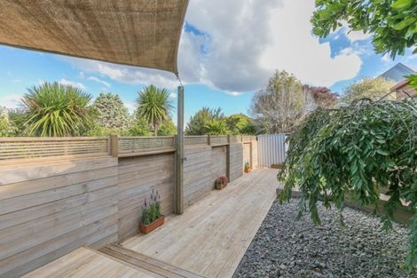 Photo of property in 2/60 Centorian Drive, Windsor Park, Auckland, 0632