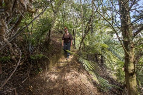 Photo of property in 520 Wright Road, Aongatete, Katikati, 3181