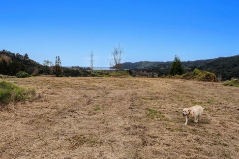 Photo of property in 183 Wainui Road, Torere, Opotiki, 3197