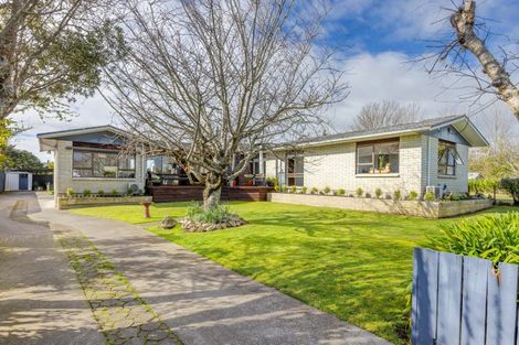 Photo of property in 163 Porangahau Road, Waipukurau, 4200