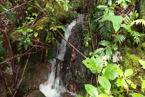 Photo of property in 22 Ngahere Terrace, Opoutere, Whangamata, 3691