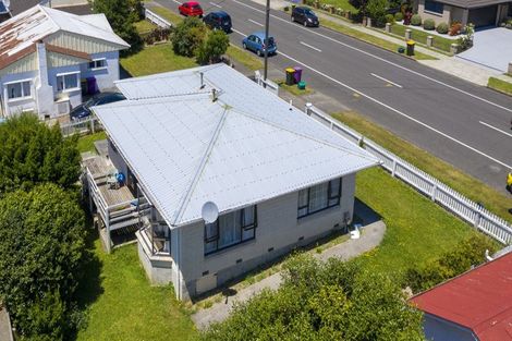 Photo of property in 147 Bath Street, Levin, 5510